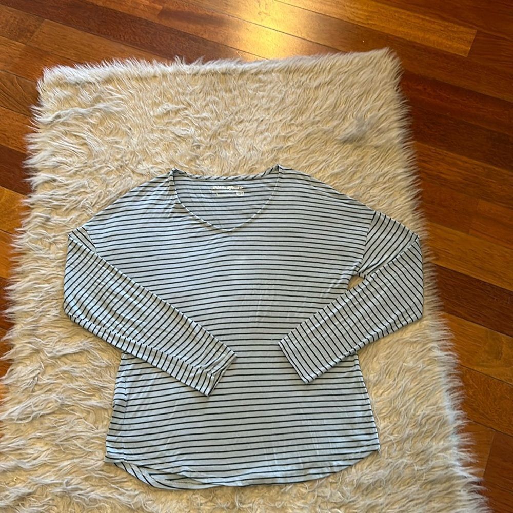 Eddie Bauer light blue and‎ black stripped vneck rayon stretch long sleeve shirt